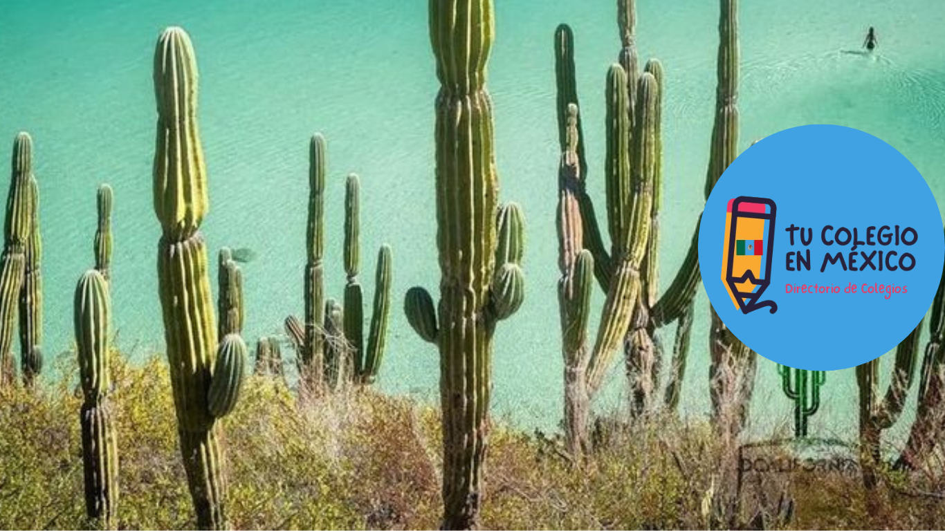 Colegios en el Estado de Baja California Sur