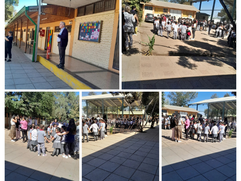 Colegio Terranovs