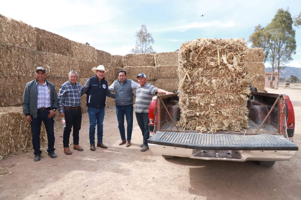 Conalep Plantel San Felipe