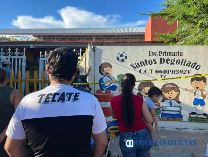 Escuela Primaria De Manzanillo