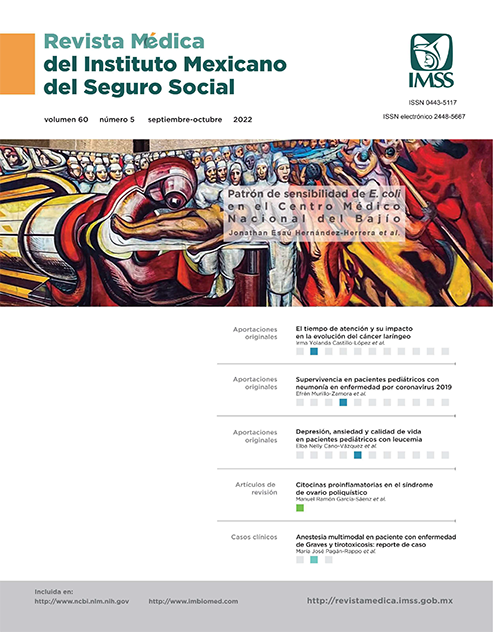 INSTITUTO MEXICO