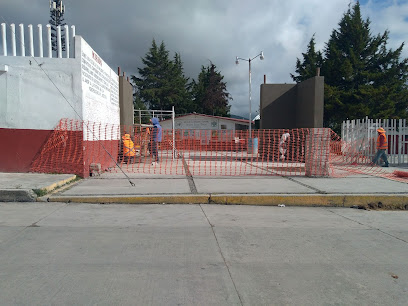 Colegios En Apizaco