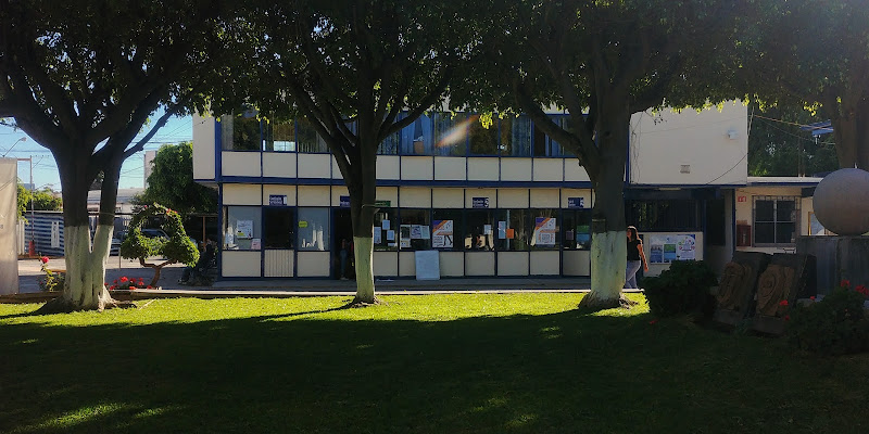 Colegios En Irapuato
