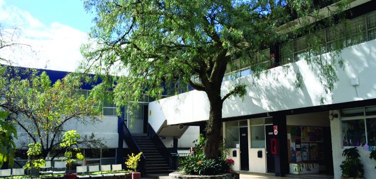 Colegios En La Magdalena Contreras