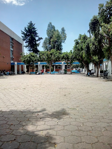 Colegios En San José Iturbide