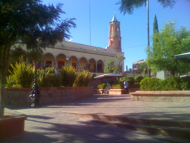 Mimbres Valparaiso Zacatecas